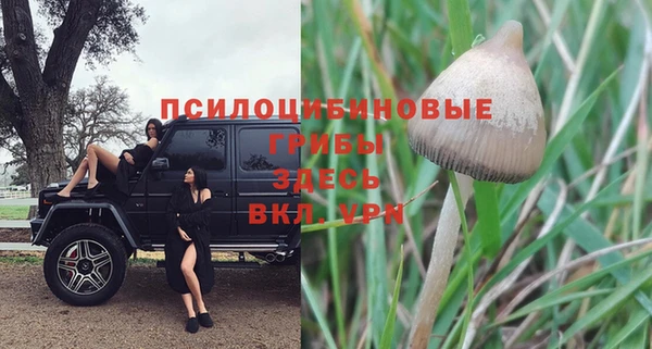 прущий лед Киреевск